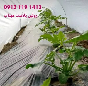 تولید مالچ کشاورزی در اصفهان | رولین پلاست مهتاب