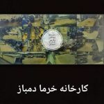 سیستم های حفاظتی و امنیتی پارس در بندرانزلی