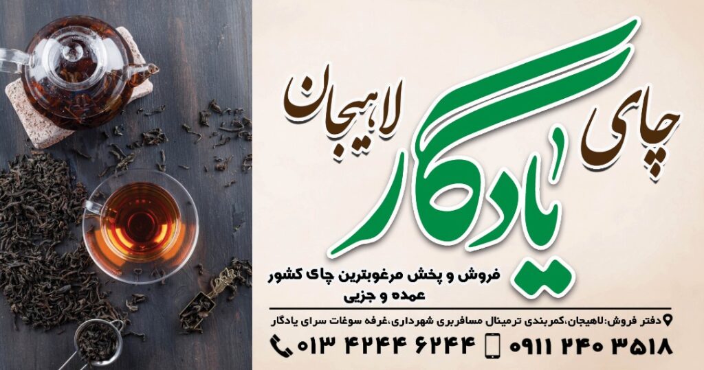 چای یادگار در لاهیجان