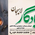 چای یادگار در لاهیجان