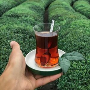 فروش چای در لاهیجان