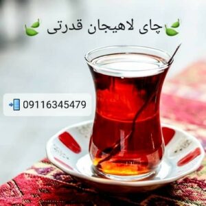 چای لاهیجان قدرتی
