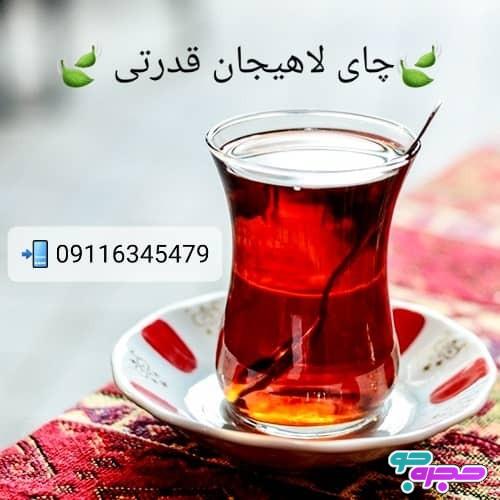 چای لاهیجان قدرتی
