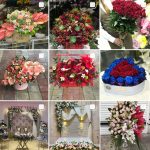 گل سلطان | گل فروشی در رشت
