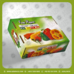 کارتن سازی صنایع بسته بندی آیین پک