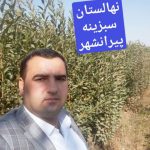 نهالستان سبزینه | تولید نهال میوه در پیرانشهر