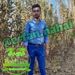 عرفان نهال | نهالستان میاندوآب