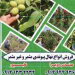 نهالستان سبزینه | تولید نهال میوه در پیرانشهر