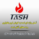 تولیدی تش | باربیکیو زغالی دیواری تاشو در کرج