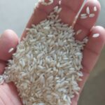 کارخانه برنجکوبی برادران کعبی | پخش برنج عنبربو در شوشتر