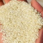 کارخانه برنجکوبی برادران کعبی | پخش برنج عنبربو در شوشتر