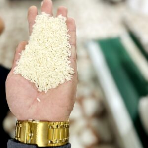 برنجکوبی سورتینگ رستمی | خرید برنج هاشمی در بندر کیاشهر