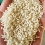 پخش برنج ابریشمی سروان | خرید برنج عنبربو معطر در اصفهان