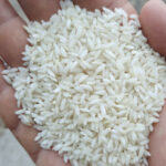 کارخانه برنجکوبی قائم | پخش برنج عنبربو معطر در شادگان