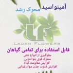 بهترین گلفروشی در ستارخان تهران گلسرای لادن 🌹 خرید آنلاین گل از ستارخان تهران