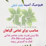 بهترین گلفروشی در ستارخان تهران گلسرای لادن 🌹 خرید آنلاین گل از ستارخان تهران