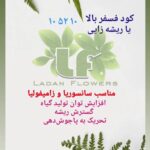 بهترین گلفروشی در ستارخان تهران گلسرای لادن 🌹 خرید آنلاین گل از ستارخان تهران