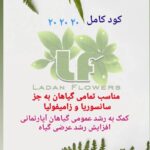 بهترین گلفروشی در ستارخان تهران گلسرای لادن 🌹 خرید آنلاین گل از ستارخان تهران