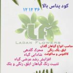 بهترین گلفروشی در ستارخان تهران گلسرای لادن 🌹 خرید آنلاین گل از ستارخان تهران