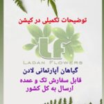 بهترین گلفروشی در ستارخان تهران گلسرای لادن 🌹 خرید آنلاین گل از ستارخان تهران