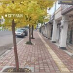 تولیدی تایل بتن اکسپوز گیلان رخ ✨ خرید موزاییک پلیمری در رشت