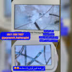 بهترین مرکز احیا و صافی مو رشت پیوسته 💯 خدمات اسکراب اسکالپ سر در رشت
