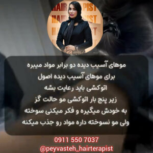 بهترین مرکز احیا و صافی مو رشت پیوسته ð¯ خدمات اسکراب اسکالپ سر در رشت | حجره جو بهترین مرکز احیا و صافی مو رشت پیوسته ð¯ خدمات اسکراب اسکالپ سر در رشت