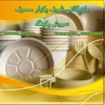 مرکز پخش ظروف یکبار مصرف مشهد سروش پکینگ 🍽️ خرید عمده ظروف یکبار مصرف در مشهد