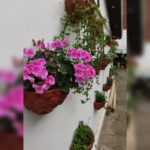 اقامتگاه کلبه آبشار میلاش 🏡 اجاره کلبه چوبی در اشکورات رودسر