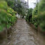 اقامتگاه کلبه آبشار میلاش 🏡 اجاره کلبه چوبی در اشکورات رودسر