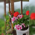 اقامتگاه کلبه آبشار میلاش 🏡 اجاره کلبه چوبی در اشکورات رودسر