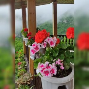 اقامتگاه کلبه آبشار میلاش ð¡ اجاره کلبه چوبی در اشکورات رودسر