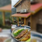 اقامتگاه کلبه آبشار میلاش 🏡 اجاره کلبه چوبی در اشکورات رودسر