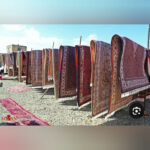 کارخانه قالیشویی الماس 💯 بهترین قالیشویی در آمل