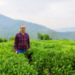 خرید چای درجه یک املش 🍃 فروشگاه چای ایرانی حیدری 💯 مرکز خرید چای شمال در املش