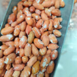 خرید چای درجه یک املش 🍃 فروشگاه چای ایرانی حیدری 💯 مرکز خرید چای شمال در املش