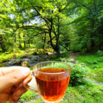 خرید چای درجه یک املش 🍃 فروشگاه چای ایرانی حیدری 💯 مرکز خرید چای شمال در املش