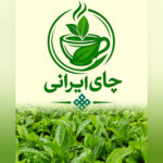 خرید چای درجه یک املش 🍃 فروشگاه چای ایرانی حیدری 💯 مرکز خرید چای شمال در املش