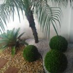 اجرای فضای سبز متل قو آقاجانی ✅️ محوطه سازی و روف گاردن در مازندران 💯 ساخت آبنما در متل قو