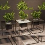 اجرای فضای سبز متل قو آقاجانی ✅️ محوطه سازی و روف گاردن در مازندران 💯 ساخت آبنما در متل قو