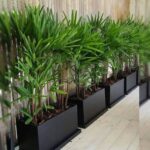 اجرای فضای سبز متل قو آقاجانی ✅️ محوطه سازی و روف گاردن در مازندران 💯 ساخت آبنما در متل قو