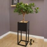 اجرای فضای سبز متل قو آقاجانی ✅️ محوطه سازی و روف گاردن در مازندران 💯 ساخت آبنما در متل قو