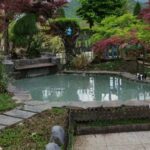 اجرای فضای سبز متل قو آقاجانی ✅️ محوطه سازی و روف گاردن در مازندران 💯 ساخت آبنما در متل قو