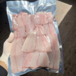 سفارش میگو و ماهی صید روز بوشهر 🐟 لیلی شاپ ✅️ خرید خرمای جنوب در بوشهر