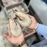 سفارش میگو و ماهی صید روز بوشهر 🐟 لیلی شاپ ✅️ خرید خرمای جنوب در بوشهر