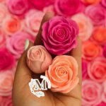 تولید قالب سیلیکونی شیراز ماهی ✅ پخش عمده قالب سیلیکونی در شیراز