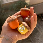 تولید قالب سیلیکونی شیراز ماهی ✅ پخش عمده قالب سیلیکونی در شیراز