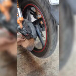 تعمیرگاه موتور سیکلت انژکتوری بابل غلامرضایی 🏍 تعمیر موتور انژکتوری در بابل