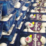 بسته بندی قارچ در قائمشهر شیوانا 💯 خرید عمده قارچ دکمه ای در قائمشهر