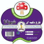 بسته بندی قارچ در قائمشهر شیوانا 💯 خرید عمده قارچ دکمه ای در قائمشهر